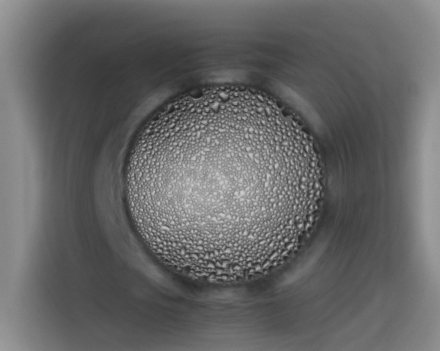 X0000113890721200910011322