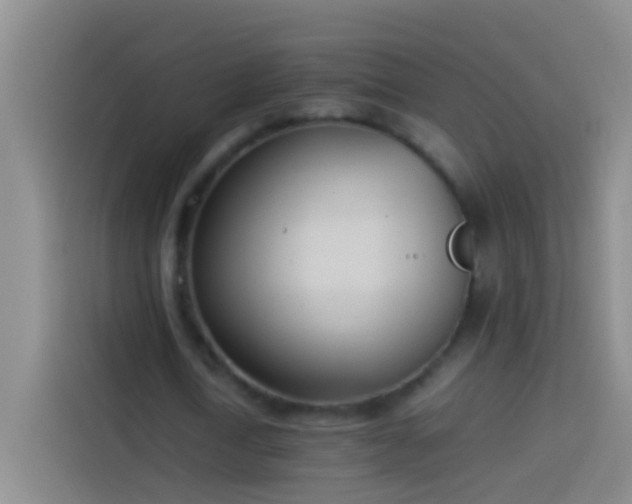 X0000113890722200910011322