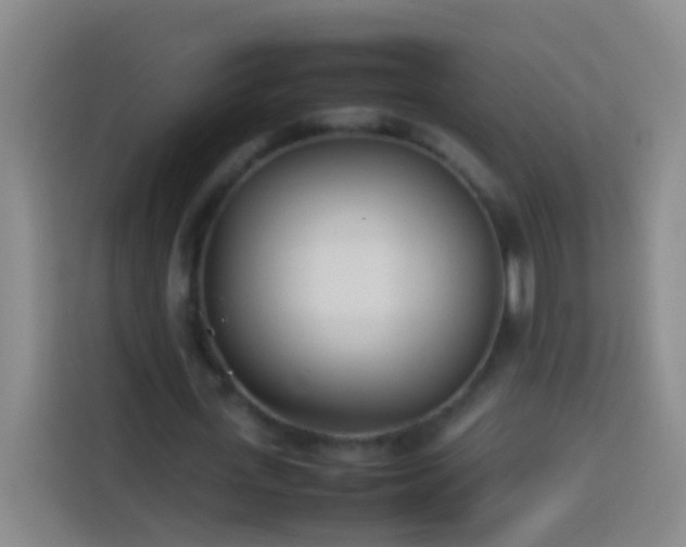 X0000113890723200910011322