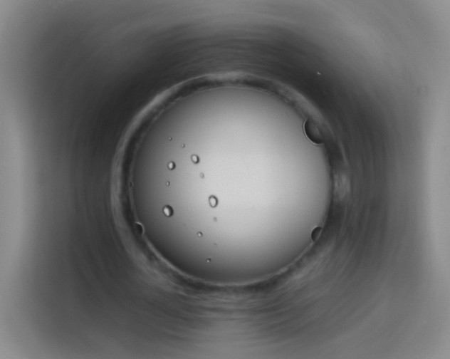 X0000113890724200910011322