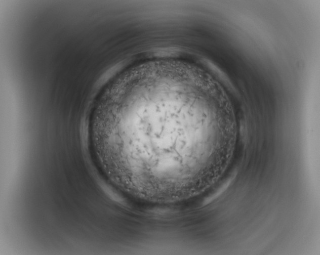 X0000113890725200910011322
