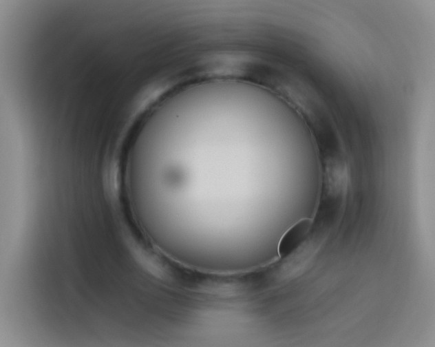 X0000113890726200910011322