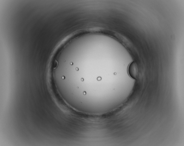 X0000113890728200910011322