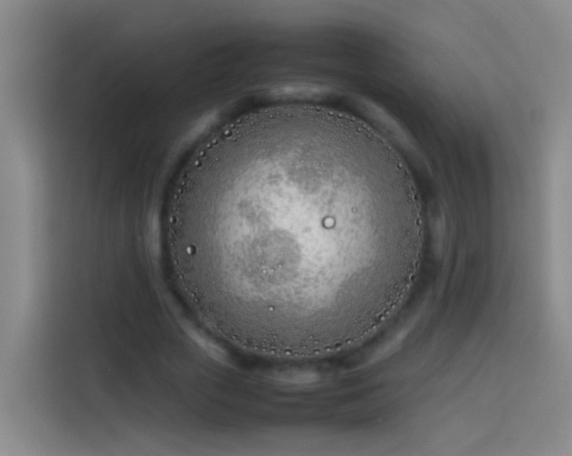 X0000113890729200910011322