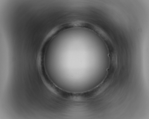 X0000113890730200910011322