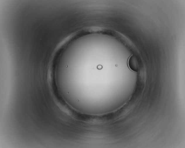 X0000113890732200910011322