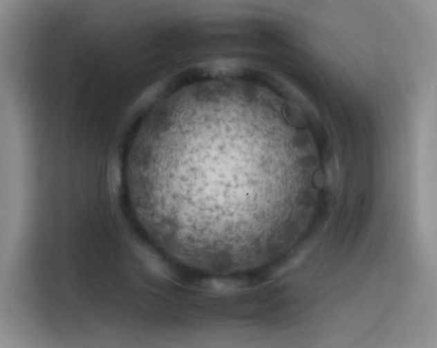 X0000113890733200910011322