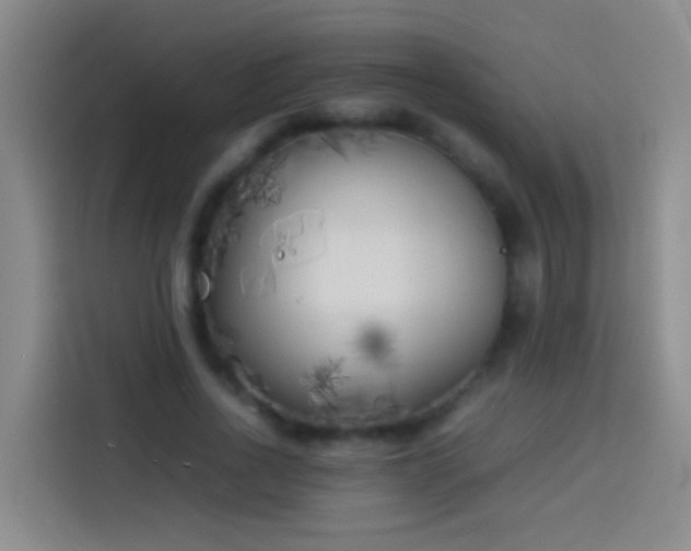 X0000113890734200910011322