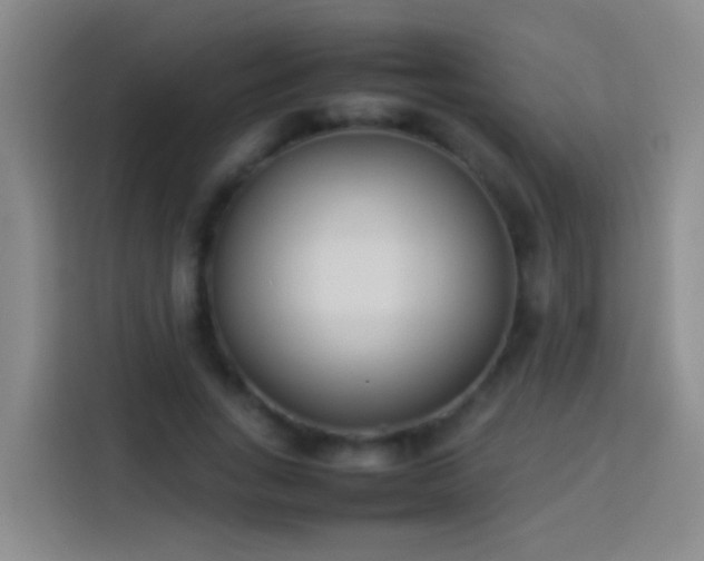 X0000113890735200910011322