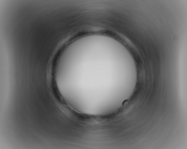 X0000113890736200910011322