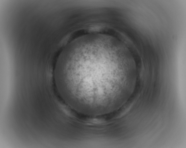 X0000113890737200910011322