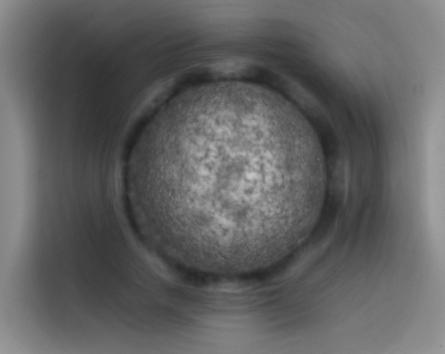 X0000113890738200910011322