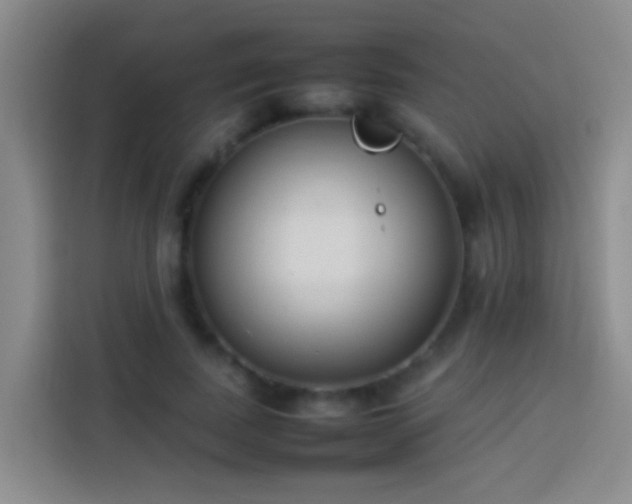 X0000113890739200910011322