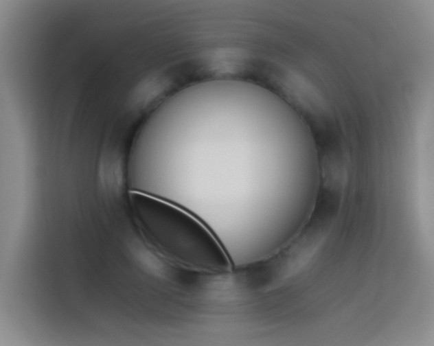 X0000113890740200910011322