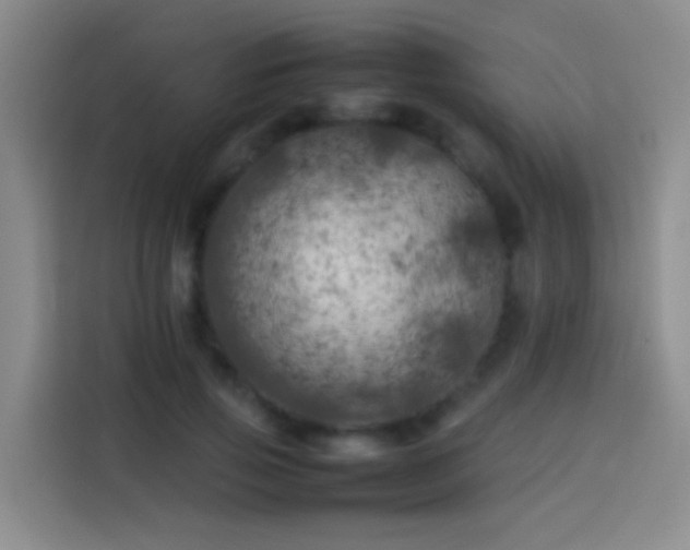 X0000113890741200910011322