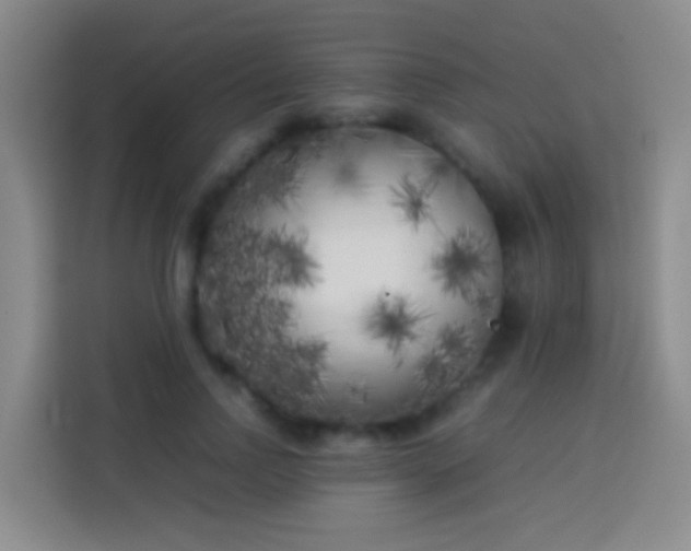 X0000113890742200910011322
