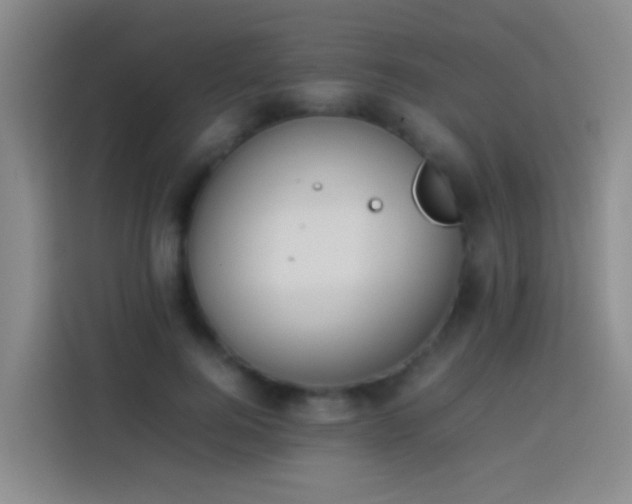 X0000113890744200910011322