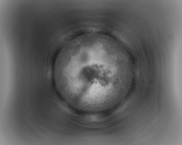 X0000113890745200910011322