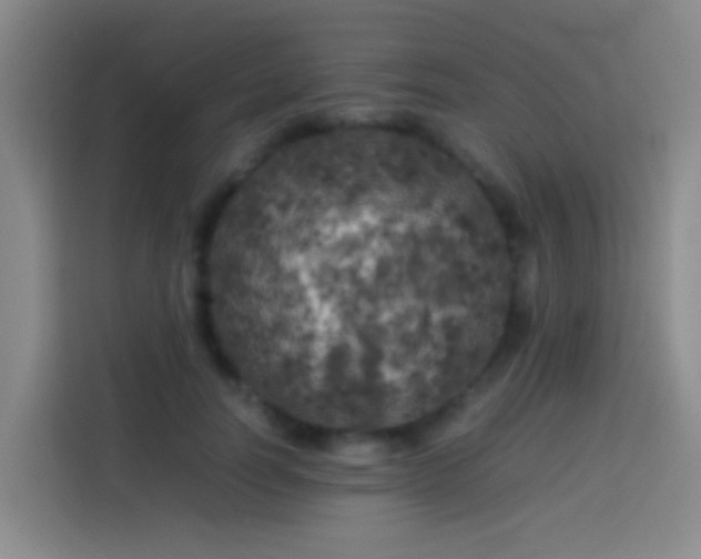 X0000113890746200910011322