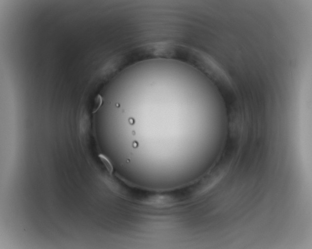 X0000113890748200910011322