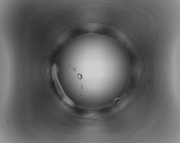 X0000113890750200910011322