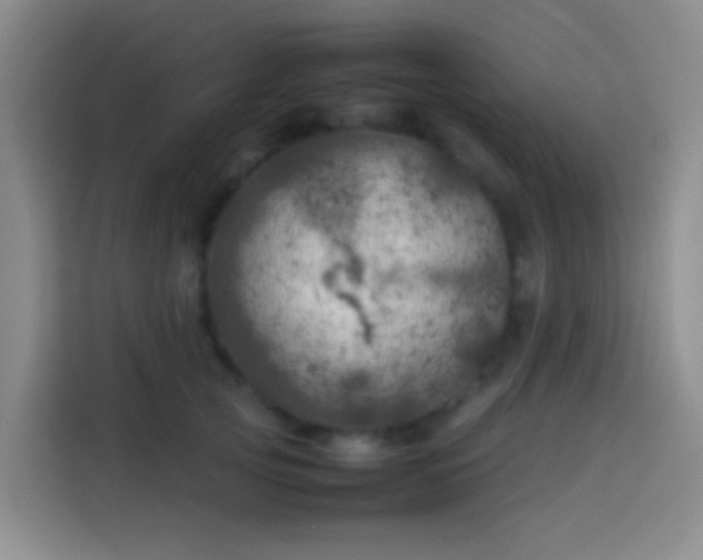 X0000113890753200910011322