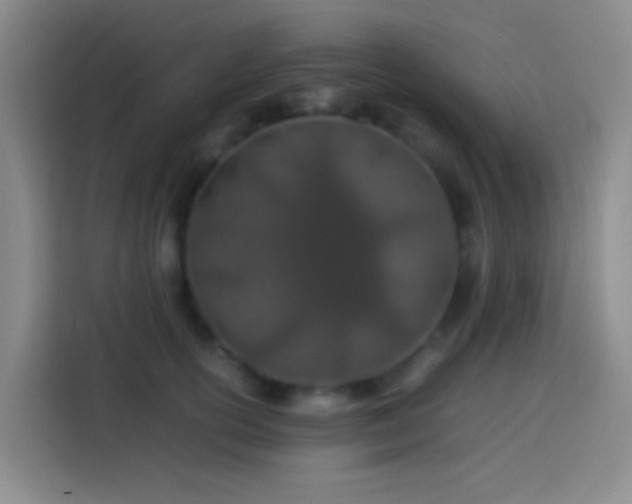 X0000113890754200910011322