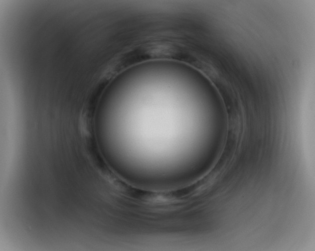 X0000113890755200910011322