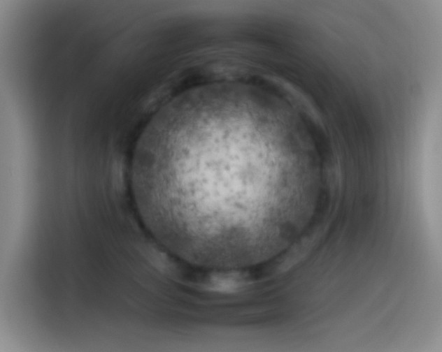 X0000113890757200910011322