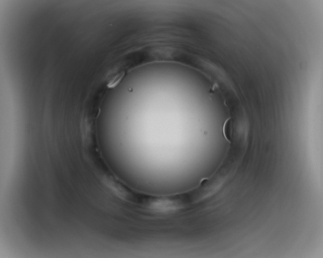 X0000113890759200910011322