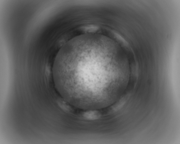 X0000113890761200910011322