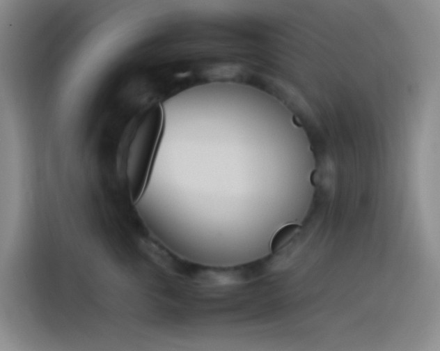 X0000113890763200910011322