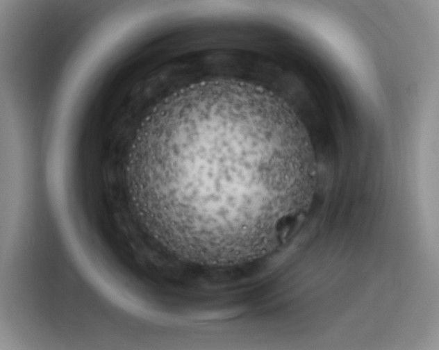 X0000113890765200910011322