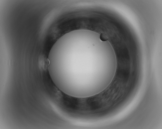 X0000113890766200910011322