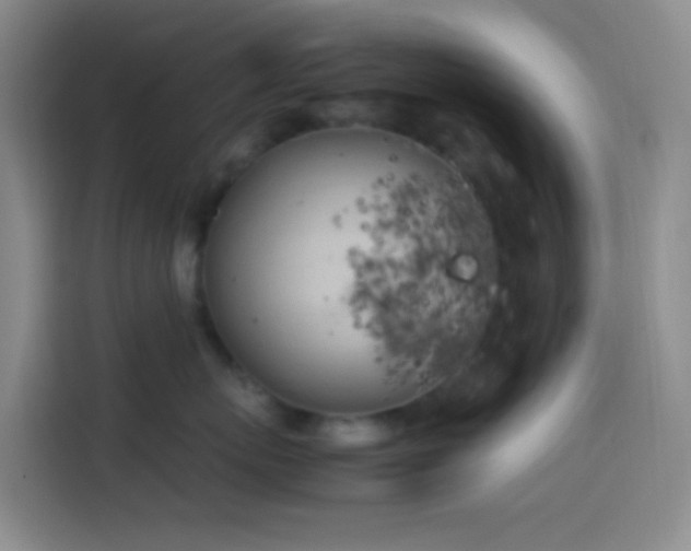 X0000113890767200910011322