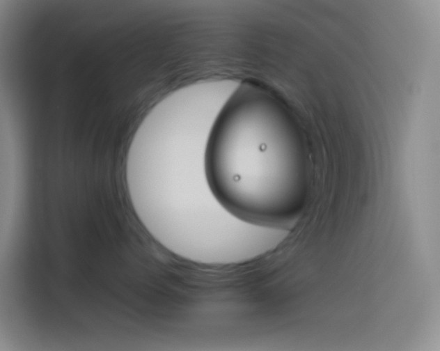 X0000113890768200910011322