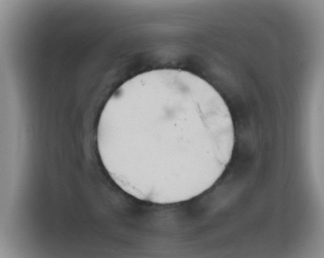 X0000113890769200910011322