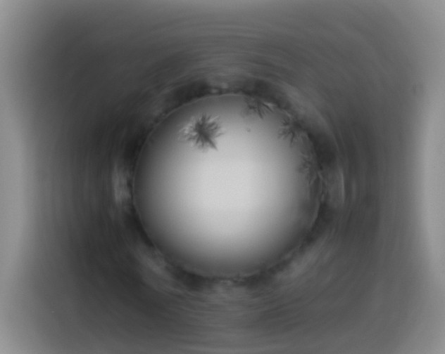 X0000113890770200910011322