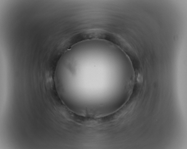 X0000113890771200910011322