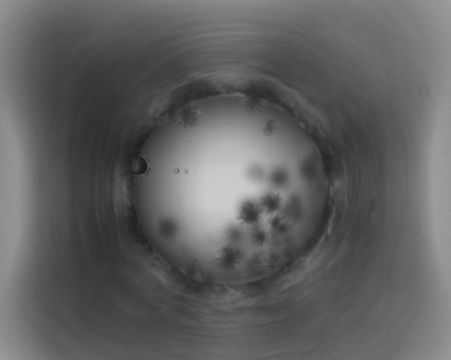 X0000113890772200910011322