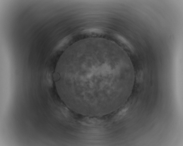 X0000113890774200910011322