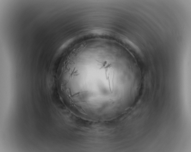 X0000113890776200910011322