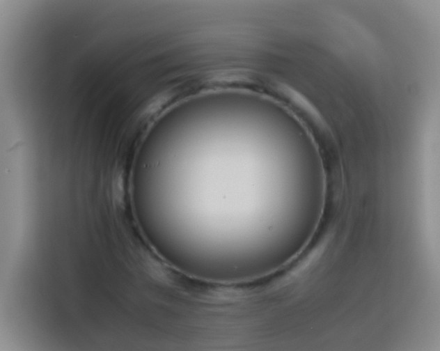 X0000113890777200910011322