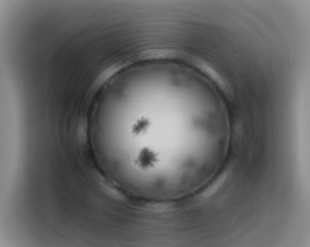 X0000113890778200910011322