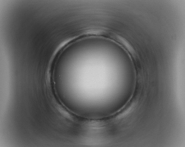 X0000113890779200910011322