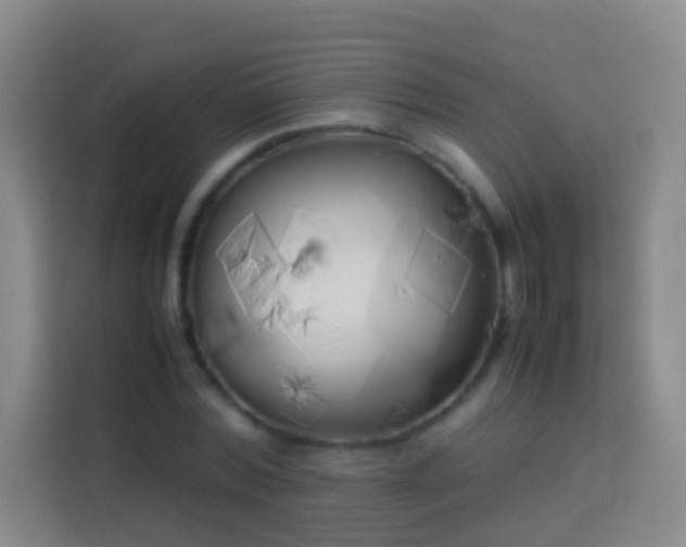 X0000113890780200910011322