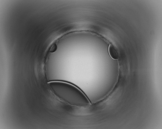 X0000113890781200910011322