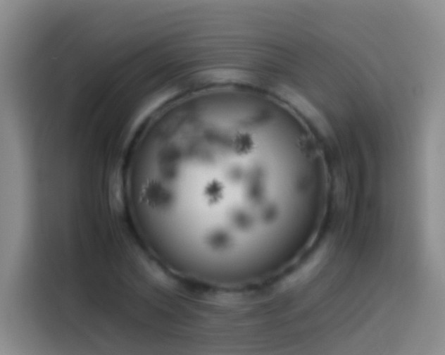 X0000113890782200910011322