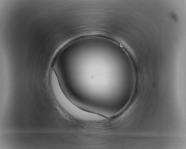 X0000113890789200910011322