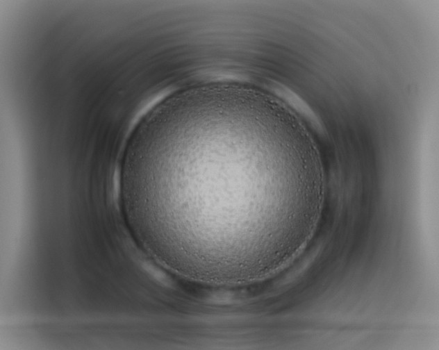 X0000113890790200910011322